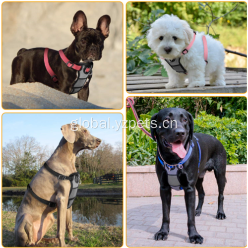 Strap Harness Premium reflective top product dog harness Factory